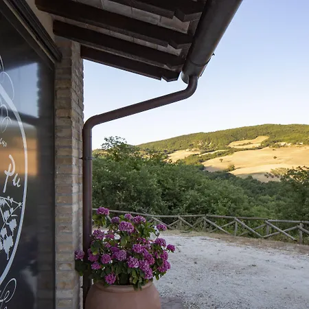 Colle Pu Agroturismo *