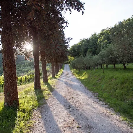 Colle Pu * Pieve San Nicolo