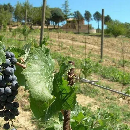 Colle Pu Farma Pieve San Nicolo