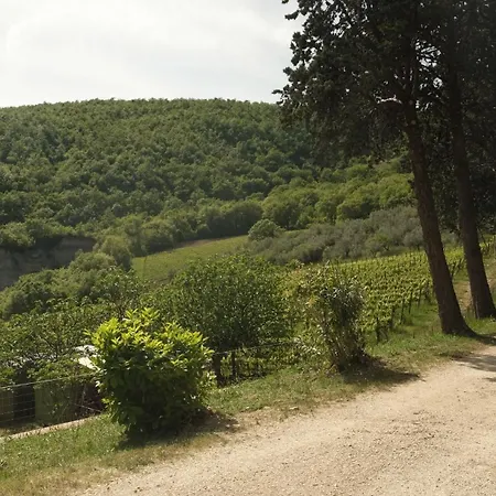 Colle Pu Farma Pieve San Nicolo